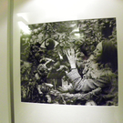 Bild 065_jpg-1286494508
