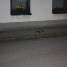 normal_071010vustrasgaaktivnews_0006.jpg