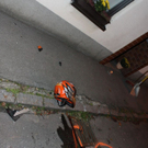 normal_071010vustrasgaaktivnews_0023.jpg