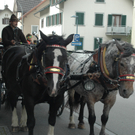 Bilder & Eindrücke vom 8. Götzner Mostfest