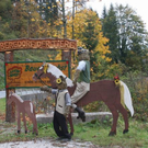 Traumhafte Herbst-Bilder