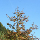 normal_071010herbstgmaktivnews__11_.jpg
