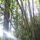 normal_071010herbstgmaktivnews__12_.jpg