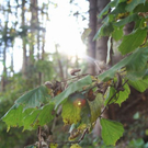 normal_071010herbstgmaktivnews__15_.jpg
