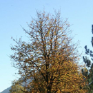 normal_071010herbstgmaktivnews__16_.jpg