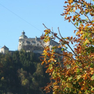 normal_071010herbstgmaktivnews__8_.jpg