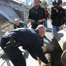 normal_08102010bombenfundlinzthaktivnews056.jpg