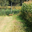 Ried 21_09_2010 32_jpg-1286551095