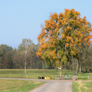 Ried 08_10_2010 18_jpg-1286550635