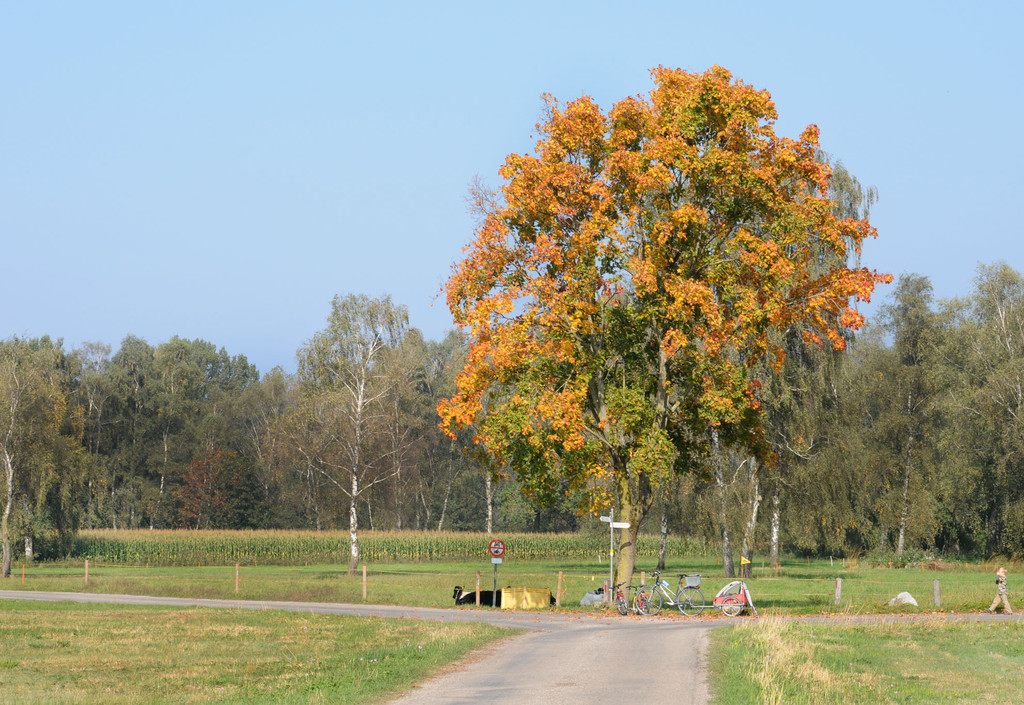 Ried 08_10_2010 18_jpg-1286550635