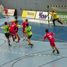 HC Hard gegen Leoben