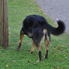 08102010vermisstfibaktivnews_20_2_.jpg