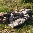 08102010vermisstfibaktivnews_20_30_.jpg