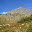 k-_DSC0156_JPG-1286612670