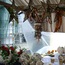 IMGP2926.JPG