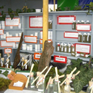 IMGP2928.JPG