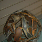 IMGP2929.JPG