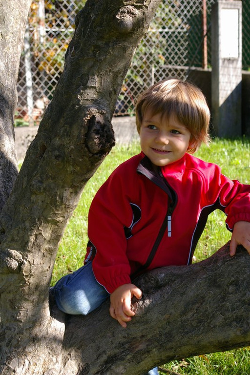 mini-bea_Kinderbetreuung_Satteins _46__JPG-1286621910