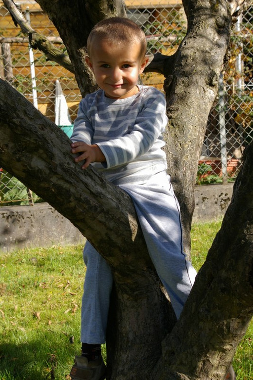 mini-bea_Kinderbetreuung_Satteins _48__JPG-1286621919