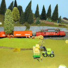 Modellbahn Hoechst 09_10_2010 60_jpg-1286629975
