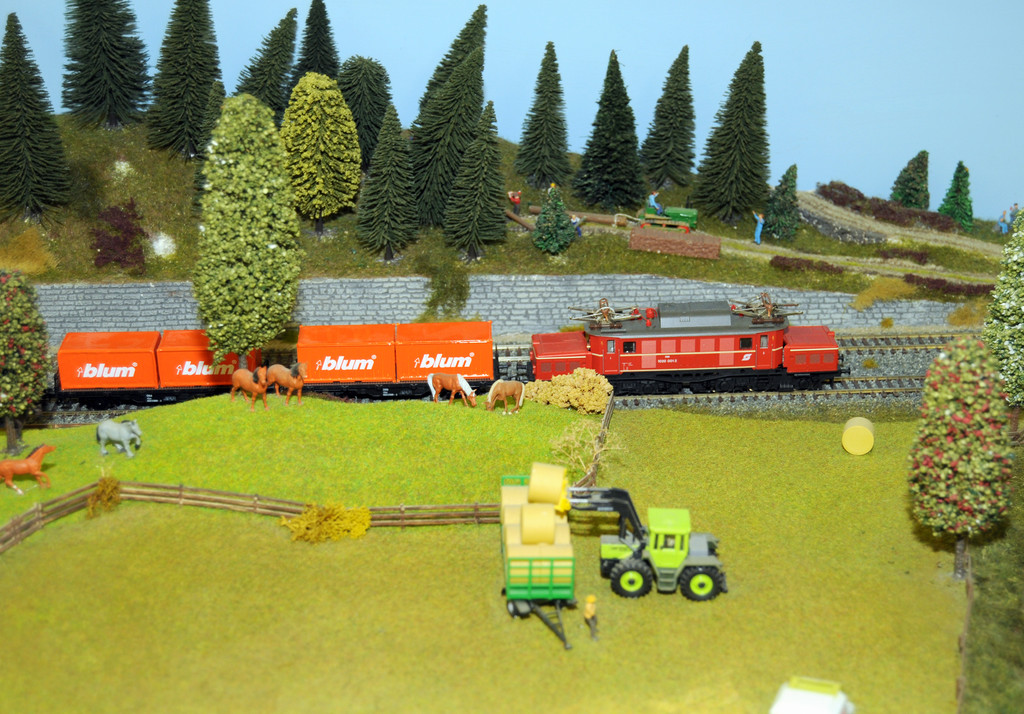 Modellbahn Hoechst 09_10_2010 60_jpg-1286629975