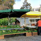 KOE_Genussmarkt Frastanz 7_jpg-1286642068