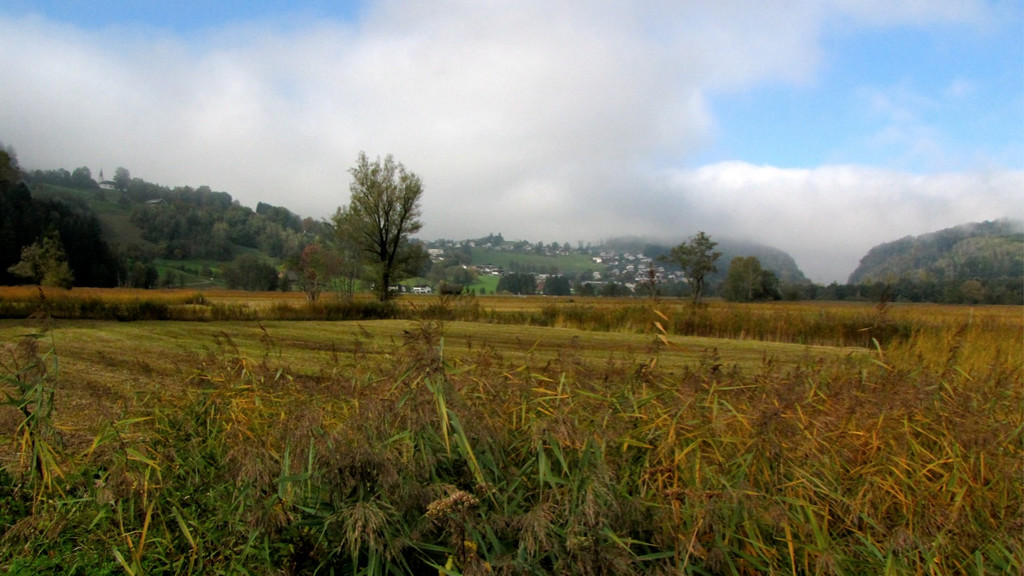 KOE_Riedplege Frastanzer Ried 4_jpg-1286647986