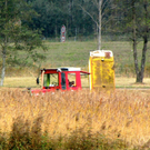 KOE_Riedplege Frastanzer Ried 7_jpg-1286648020