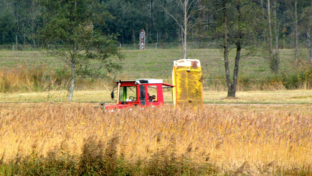 KOE_Riedplege Frastanzer Ried 7_jpg-1286648020