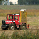KOE_Riedplege Frastanzer Ried 8_jpg-1286648031