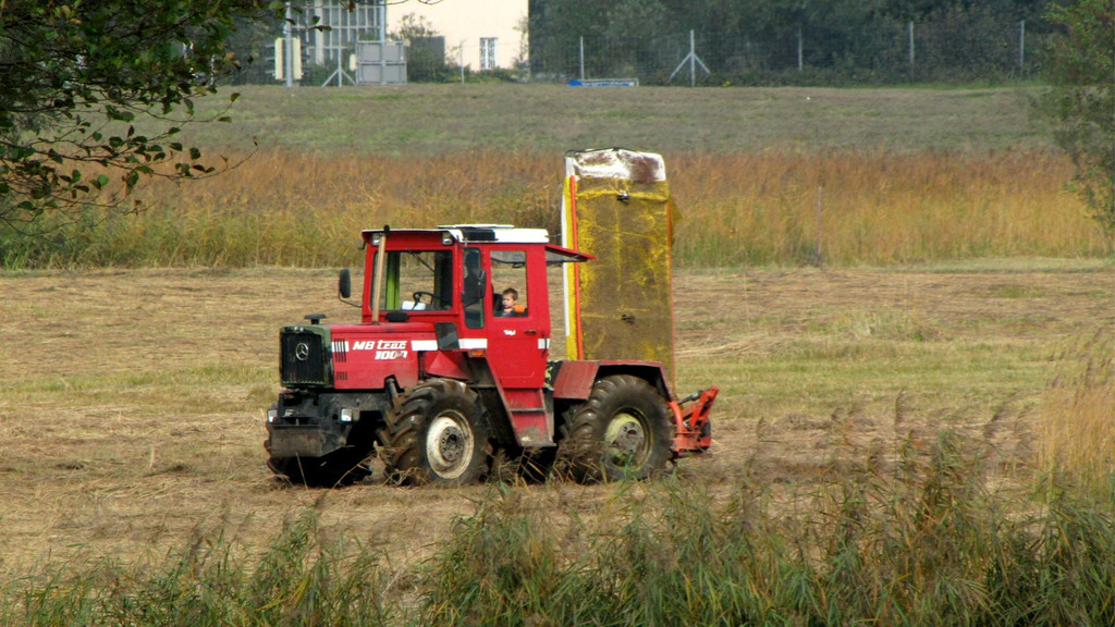 KOE_Riedplege Frastanzer Ried 8_jpg-1286648031