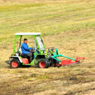 KOE_Riedplege Frastanzer Ried 10_jpg-1286648055