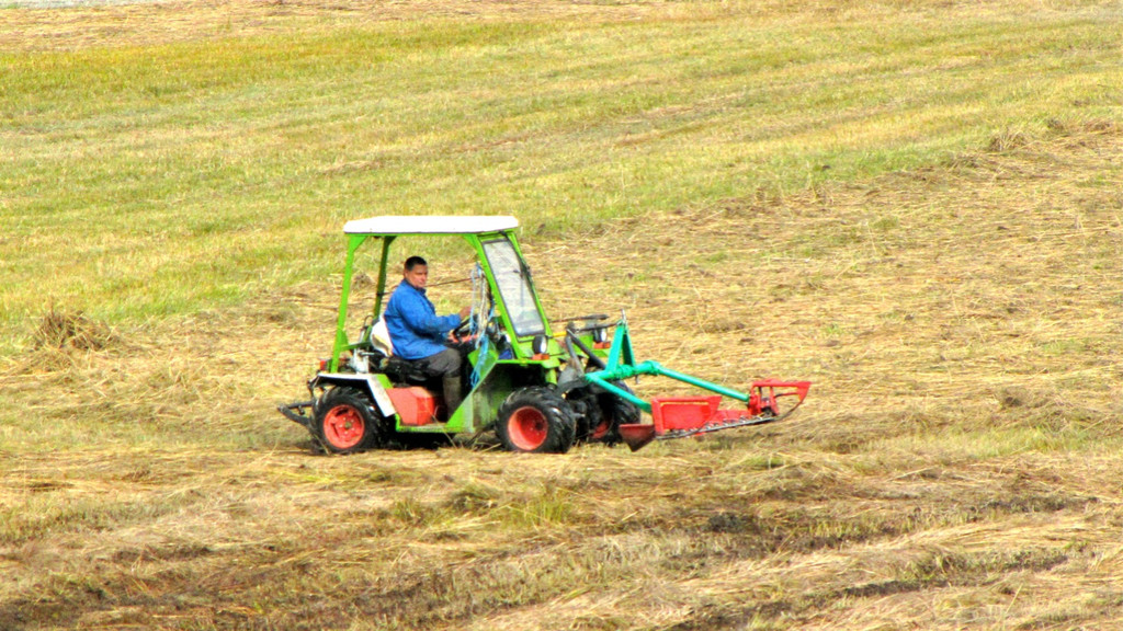 KOE_Riedplege Frastanzer Ried 10_jpg-1286648055
