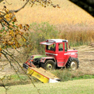 KOE_Riedplege Frastanzer Ried 12_jpg-1286648081