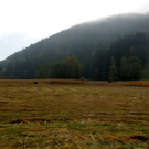 KOE_Riedplege Frastanzer Ried 13_jpg-1286648088