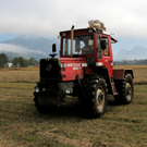 KOE_Riedplege Frastanzer Ried 14_jpg-1286648096