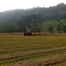 KOE_Riedplege Frastanzer Ried 15_jpg-1286648104