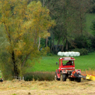 KOE_Riedplege Frastanzer Ried 17_jpg-1286648122