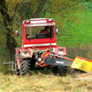 KOE_Riedplege Frastanzer Ried 18_jpg-1286648132