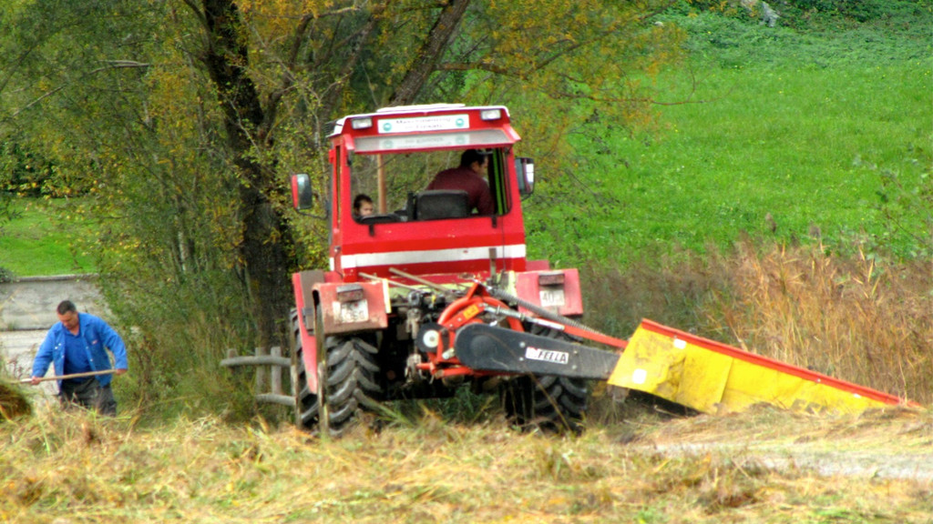 KOE_Riedplege Frastanzer Ried 18_jpg-1286648132