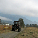 KOE_Riedplege Frastanzer Ried 19_jpg-1286648138
