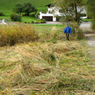KOE_Riedplege Frastanzer Ried 21_jpg-1286648165