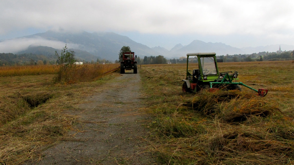 KOE_Riedplege Frastanzer Ried 22_jpg-1286648173