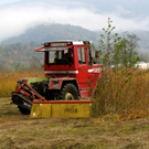 KOE_Riedplege Frastanzer Ried 23_jpg-1286648183