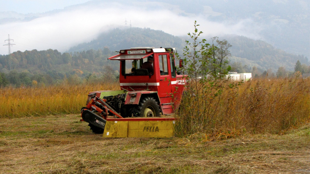 KOE_Riedplege Frastanzer Ried 23_jpg-1286648183