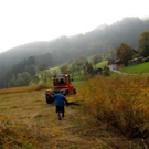 KOE_Riedplege Frastanzer Ried 25_jpg-1286648205