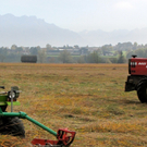 KOE_Riedplege Frastanzer Ried 28_jpg-1286648238