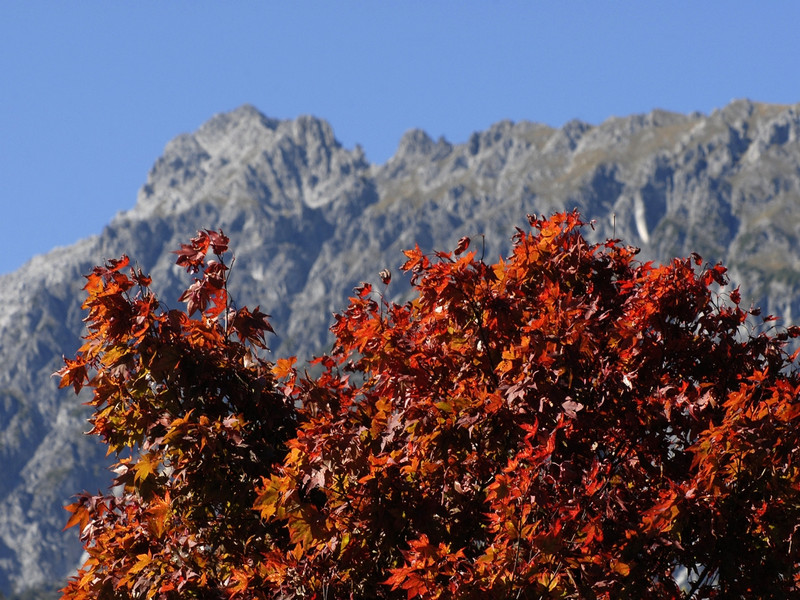 k-_DSC0748_JPG-1286657093