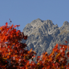 k-_DSC0755_JPG-1286657158