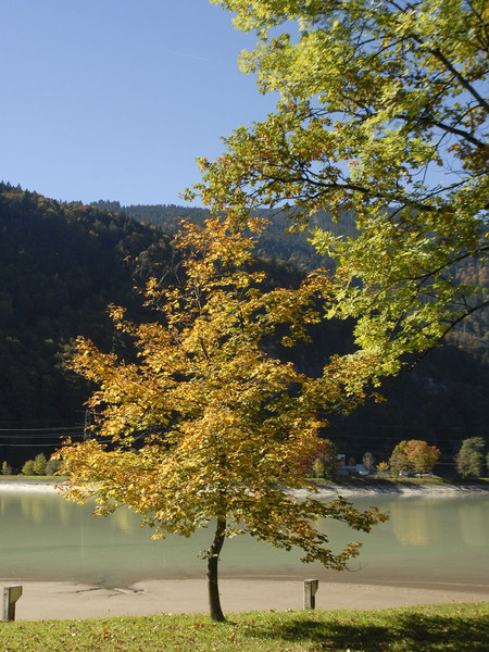 k-_DSC1097_JPG-1286658363